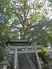 p5242456_thumb.jpg