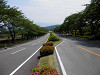 p5242531_thumb.jpg