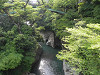 p5242564_thumb.jpg