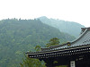 p1000051_thumb.jpg