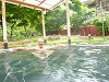 p1000064_thumb.jpg