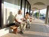 p1000081_thumb.jpg