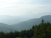 p1000087_thumb.jpg