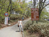 p5262645_thumb.jpg