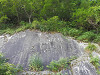 p6070017_thumb.jpg
