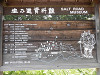 p6070050_thumb.jpg