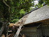 p6070057_thumb.jpg