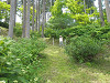 p6070090_thumb.jpg
