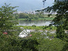 p6080207_thumb.jpg