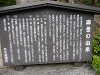 p6080231_thumb.jpg