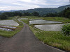 p6090284_thumb.jpg