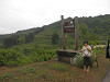 p6090291_thumb.jpg