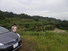 p6090294_thumb.jpg