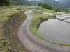 p6090337_thumb.jpg
