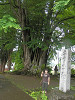 p6100399_thumb.jpg