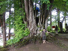 p6100401_thumb.jpg
