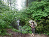 p6100436_thumb.jpg