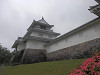 p6100441_thumb.jpg