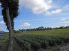 p6110497_thumb.jpg