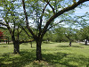 p6110513_thumb.jpg