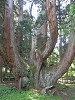 p6110534_thumb.jpg