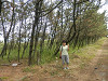 p6120606_thumb.jpg