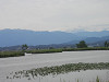 p6120644_thumb.jpg