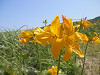 p6130767_thumb.jpg