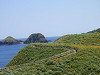 p6130773_thumb.jpg