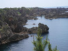p6130840_thumb.jpg