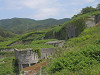 p6130849_thumb.jpg