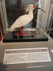 p6130906_thumb.jpg