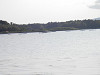 p6130921_thumb.jpg