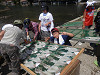 p6140967_thumb.jpg
