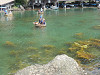 p6140971_thumb.jpg