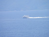 p6141010_thumb.jpg