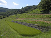 p8201096_thumb.jpg