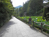 p8221354_thumb.jpg