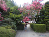 p8221361_thumb.jpg