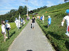 p8231407_thumb.jpg
