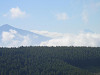 p8241531_thumb.jpg