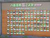 p8241540_thumb.jpg