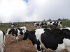 p8241552_thumb.jpg