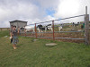 p8241553_thumb.jpg