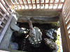 p9130087_thumb.jpg