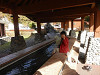 pa251823_thumb.jpg