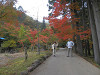 pa261928_thumb.jpg