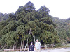 pa262069_thumb.jpg