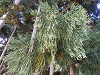 pa262070_thumb.jpg