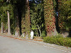 pa272129_thumb.jpg